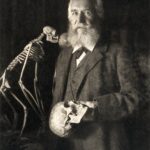 ERNST HAECKEL