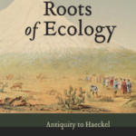 Screen Shot 2020-06-18 at 8.23.37 PM